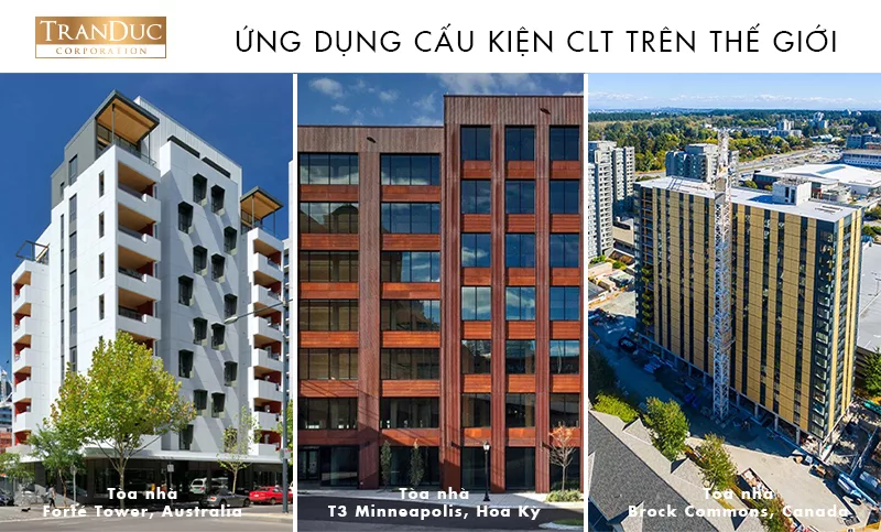 Cấu kiện CLT - Dự án ứng dụng